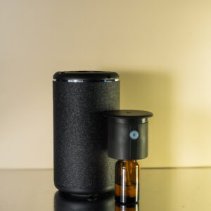 DIFUSOR DE AUTO RECARGABLE / 10 ML REGALO